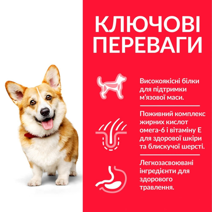 Hills (Хіллс) Adult Small Mini with Chicken-сухий корм з куркою для собак маленьких порід 1,5 кг