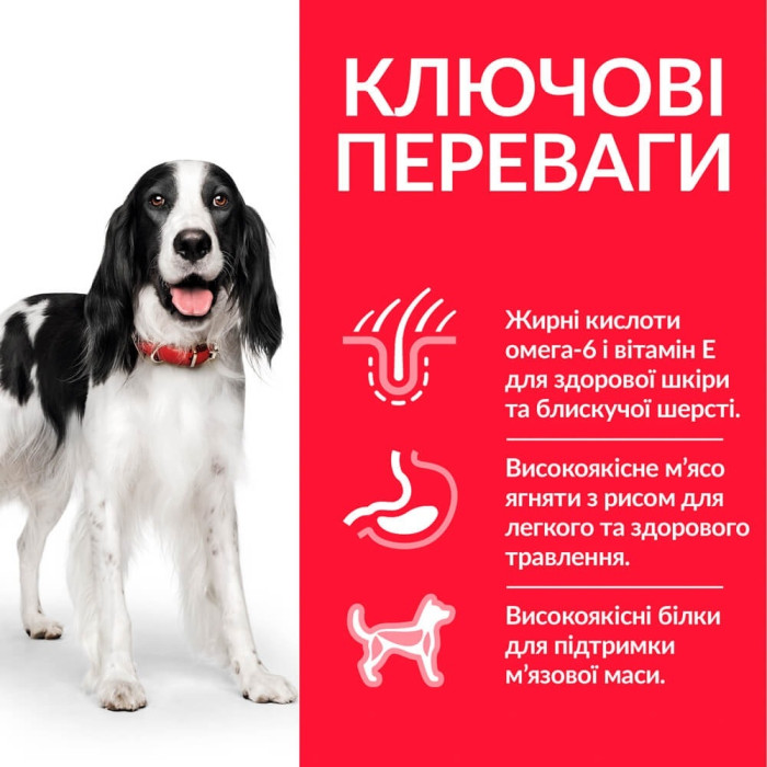 Hills (Хіллс) Sp Medium Adult Chicken-сухий корм з куркою для собак середніх порід 14 кг