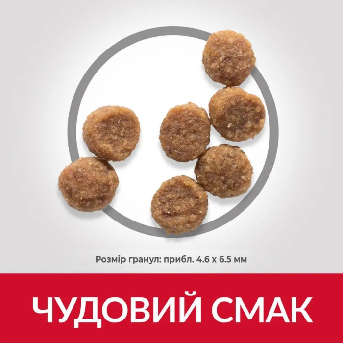Hills (Хіллс) SP Puppy Small Miniature з куркою - сухий корм для цуценят дрібних порід 0,3 кг