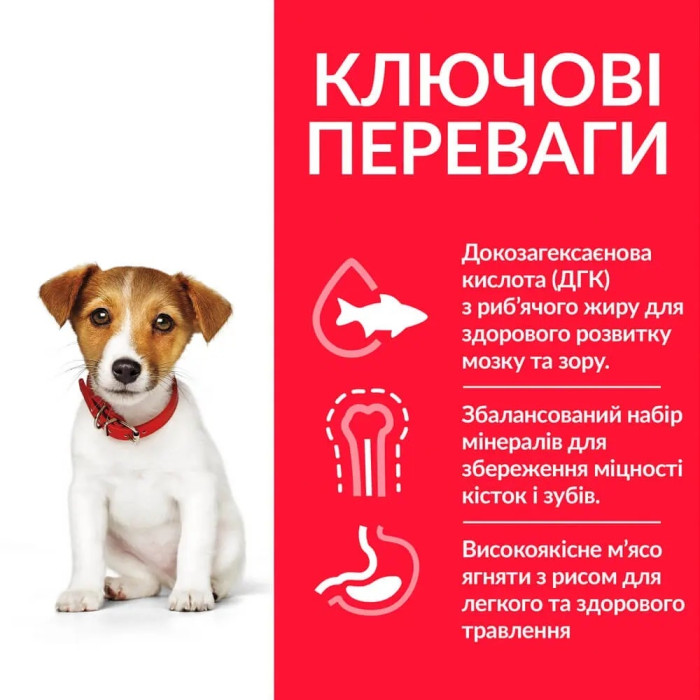 Hills (Хіллс) SP Puppy Small Miniature з куркою - сухий корм для цуценят дрібних порід 0,3 кг