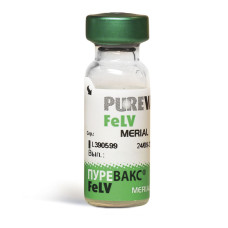 Пюревакс вакцина для кішок FELV
