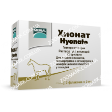 Хіонат - для лікування захворювань суглобів Хіонат