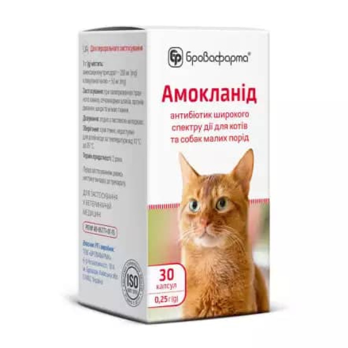 Амокланід, 30 капсул х 0,25 г