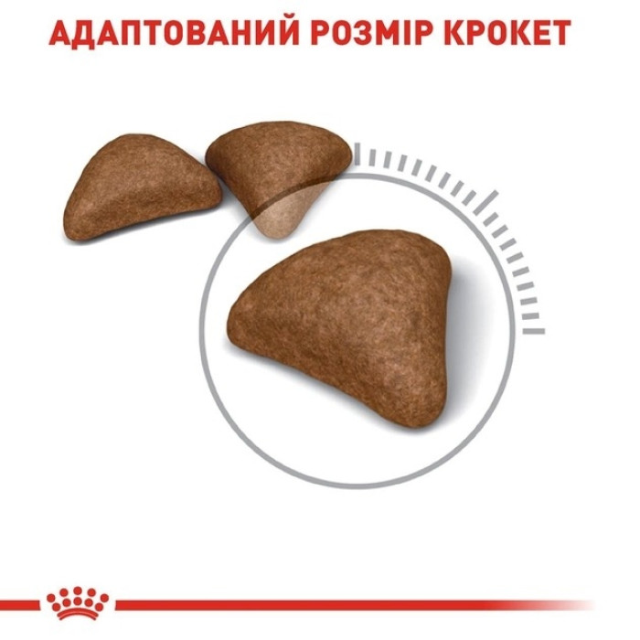 АКЦІЯ Royal Canin Hairball Care сухий корм для виведення грудочок вовни у кішок 8+2 кг