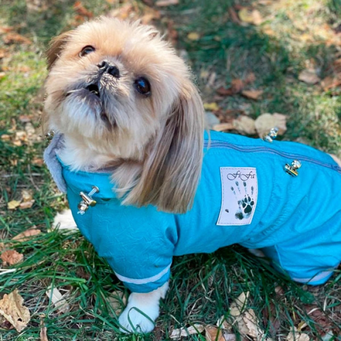 Єдність комбінезон для собак хлопчиків велсофт без силікону XL бигль