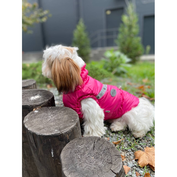 Класика жилет для собак дівчаток на силіконі S3