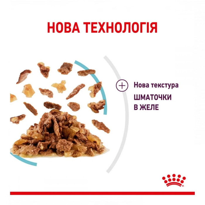 9 + 3шт Royal Canin FHN sensory feel jelly консерви для кішок 11479 акція