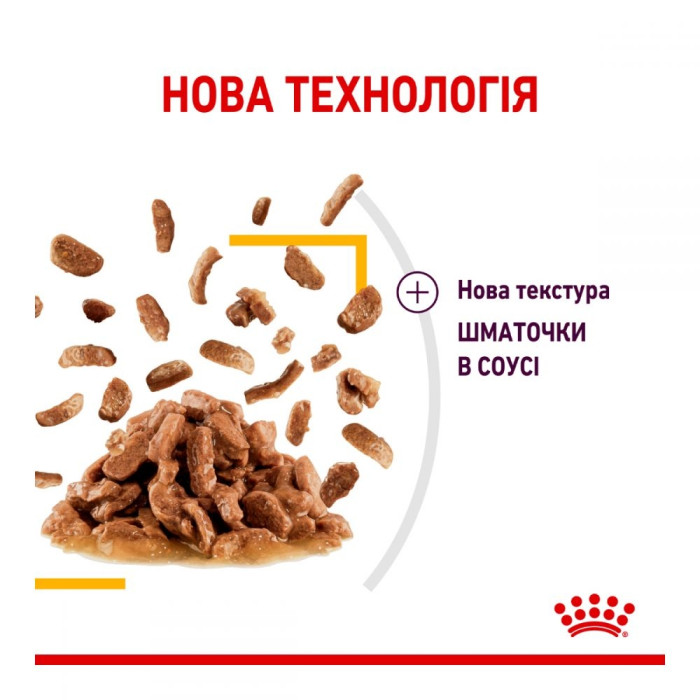 9 + 3шт Royal Canin FHN sensory taste gravy консерви для кішок 85г 11480 акція