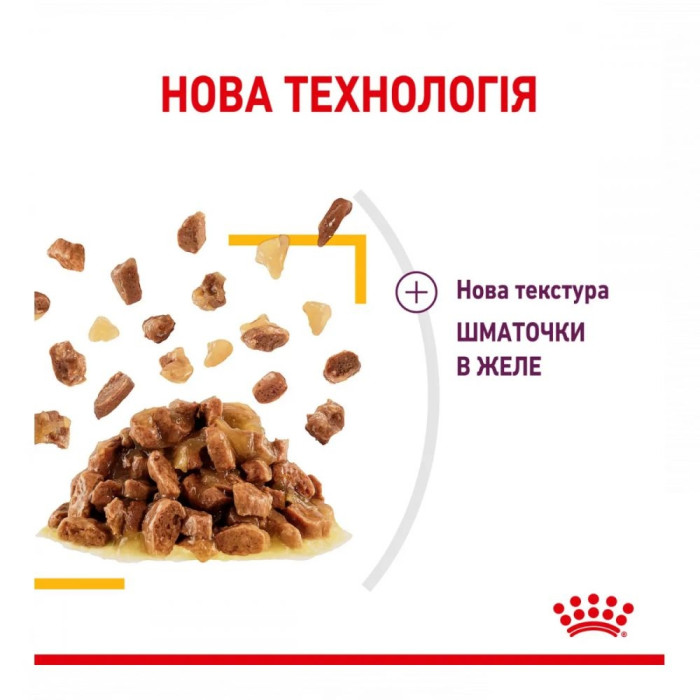 9 + 3шт Royal Canin FHN sensory taste jelly консерви для кішок 85г 11478 акція