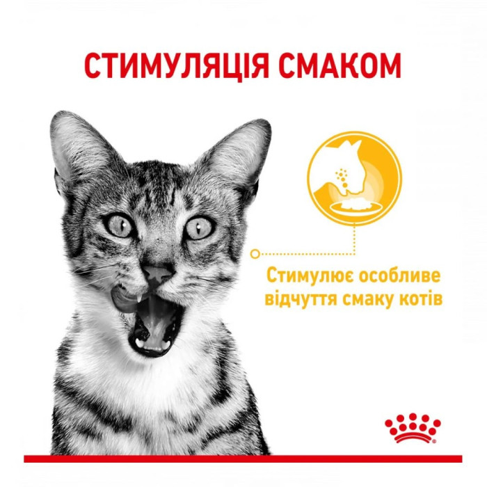 9 + 3шт Royal Canin FHN sensory taste jelly консерви для кішок 85г 11478 акція