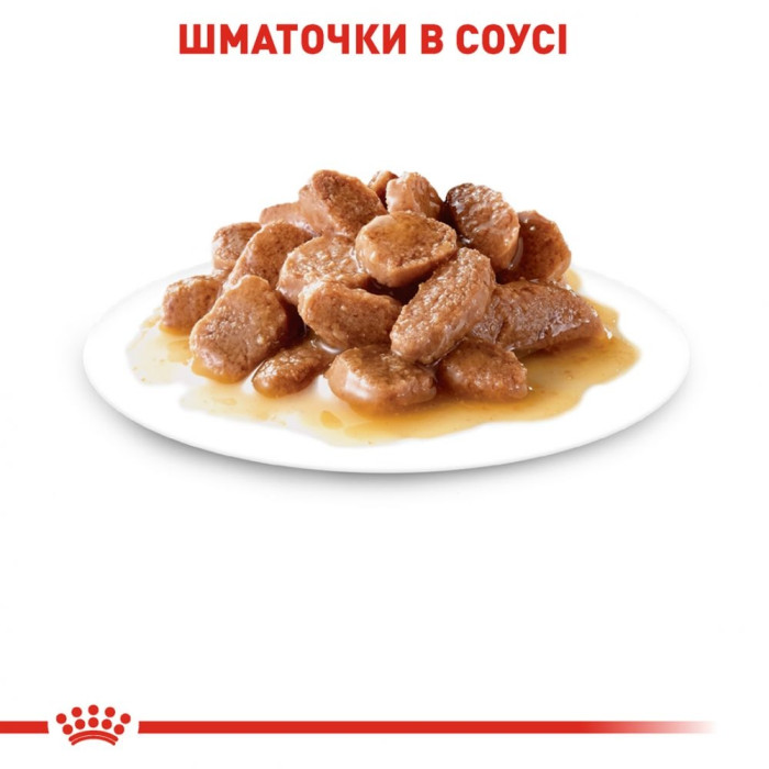 9 + 3 шт Royal Canin fhn vet hairball care консерви для кішок 85г 11475 акція