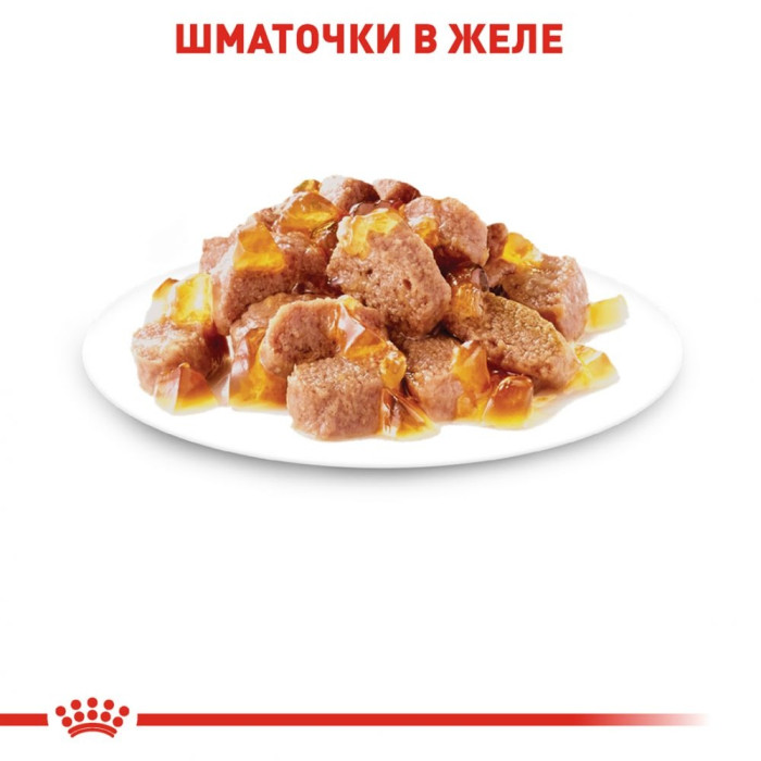 Royal Canin Instinctive консервований корм для котів старше 1 року (шматочки в желе) Акція 9+3 шт