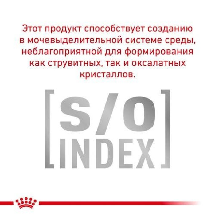 Royal Canin Urinary S O Canine Ageing 7 + 85г вологий корм для сечовидільної системи собак старше 7 років