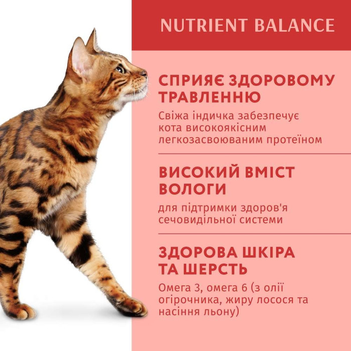 Optimeal Вологий корм для котів з індичкою в гарбузовому соусі 85г