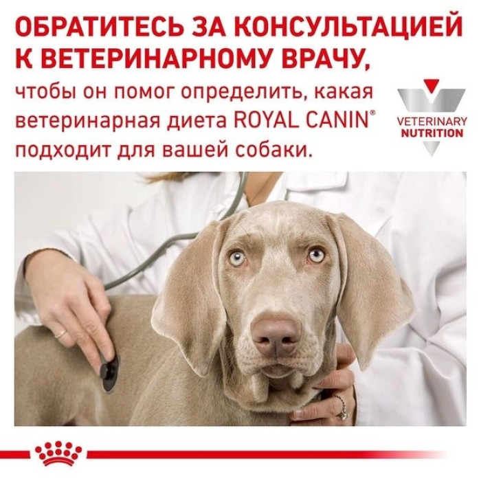 Сухий корм Royal Canin Anallergenic Small Dog - ветеринарна дієта для собак малих порід схильних до алергії 1,5 кг