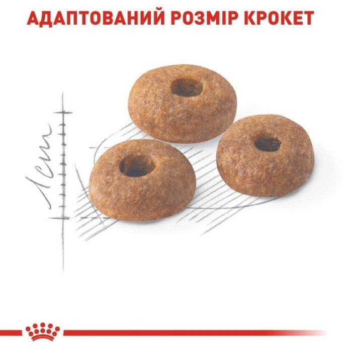 Royal Canin Fit 32 (Роял Канін Фіт) для кішок, що бувають на вулиці 4 кг