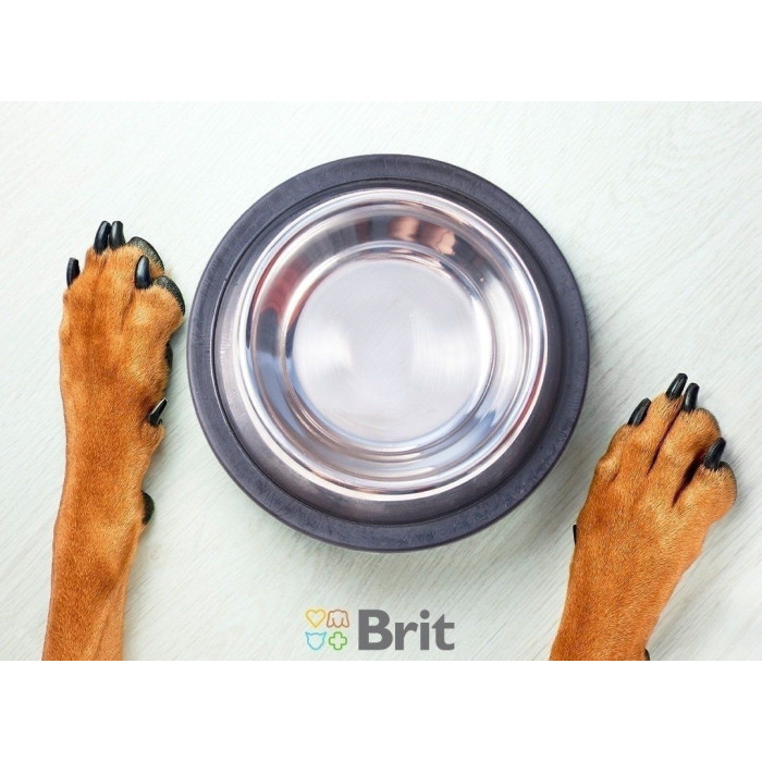 Brit Dog Grain-free Junior Large Breed Сухий корм для молодих собак великих порід 3 кг