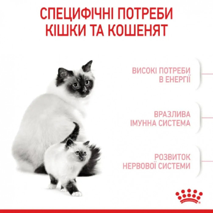 АКЦІЯ Royal Canin Babycat сухий корм для кошенят та вагітних кішок 8+2 кг