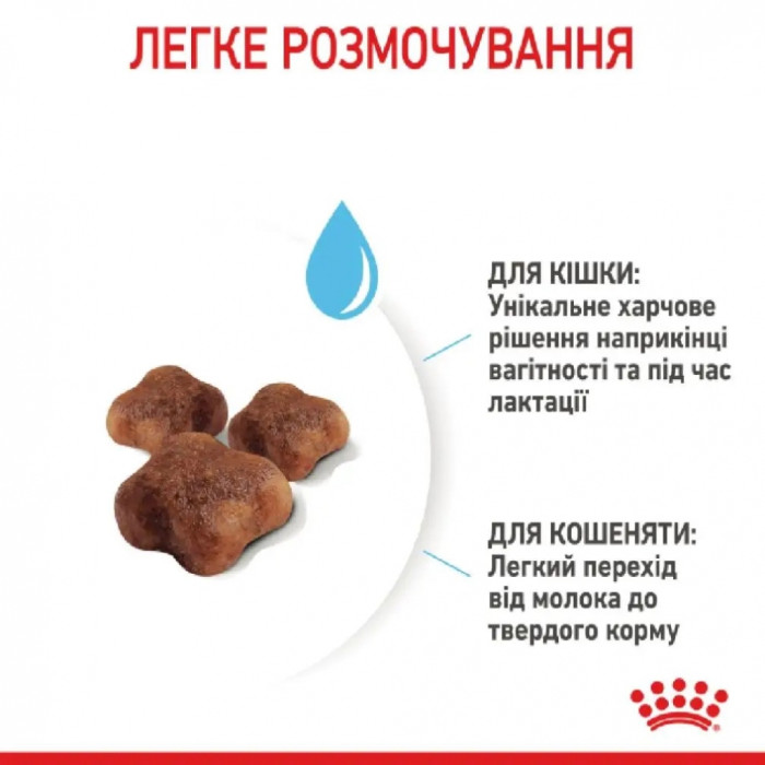 АКЦІЯ Royal Canin Babycat сухий корм для кошенят та вагітних кішок 8+2 кг