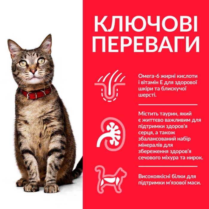 Hills (Хіллс) SP Feline Adult Chicken - Сухий корм для кішок з куркою 15 кг