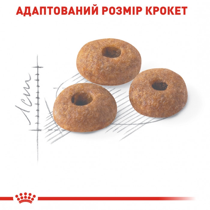АКЦІЯ Royal Canin FIT 32 корм для домашніх та вуличних котів 2 кг + 4 паучі