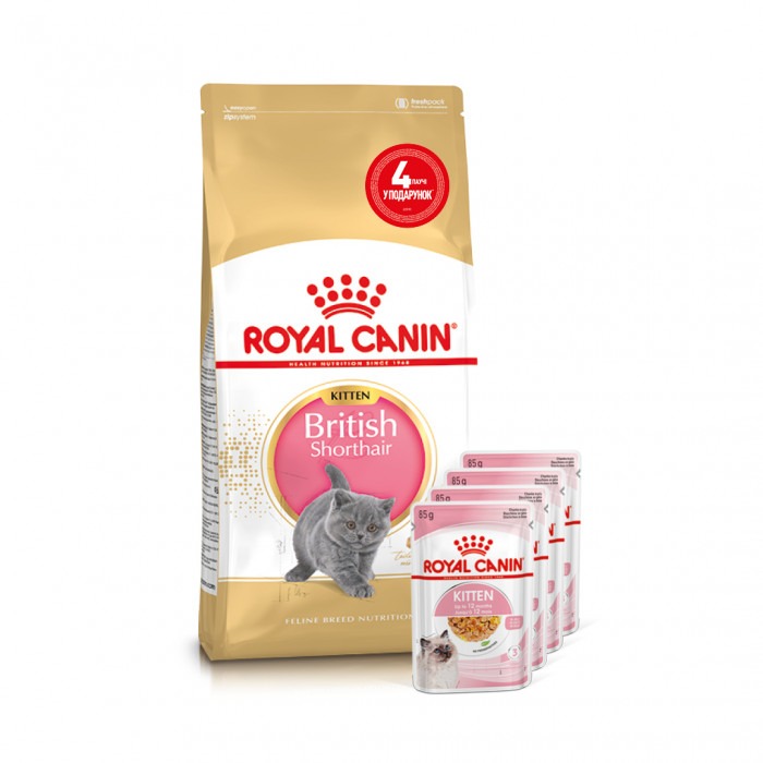 АКЦІЯ Royal Canin Kitten British Shorthair корм для кошенят британська короткошерста 2 кг + 4 паучі