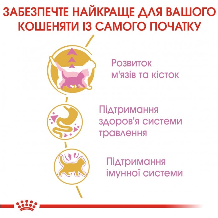 АКЦІЯ Royal Canin Kitten British Shorthair корм для кошенят британська короткошерста 2 кг + 4 паучі