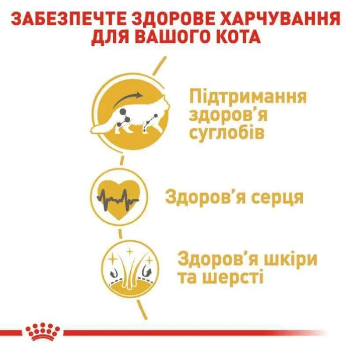 АКЦІЯ Royal Canin Maine Coon Adult корм для дорослих кішок мейн-кун 2 кг + 4 паучі