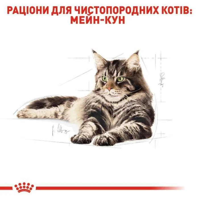 АКЦІЯ Royal Canin Maine Coon Adult корм для дорослих кішок мейн-кун 2 кг + 4 паучі