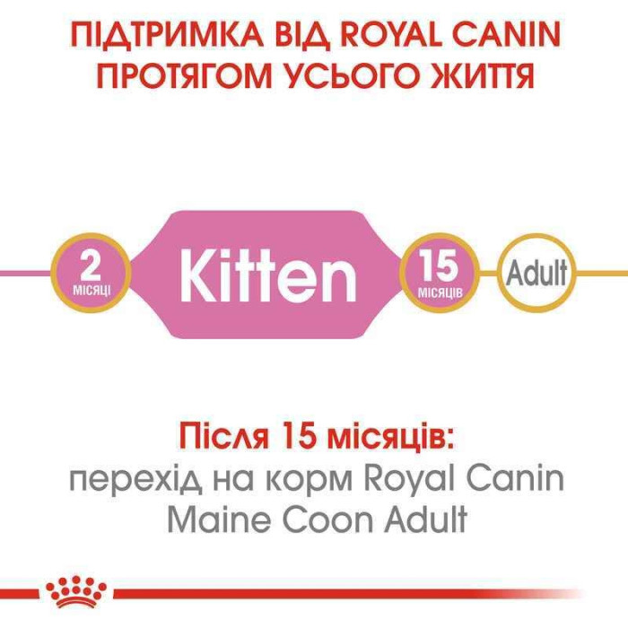 АКЦІЯ Royal Canin Maine Coon Kitten корм для кошенят мейн-кун 2 кг + 4 паучі