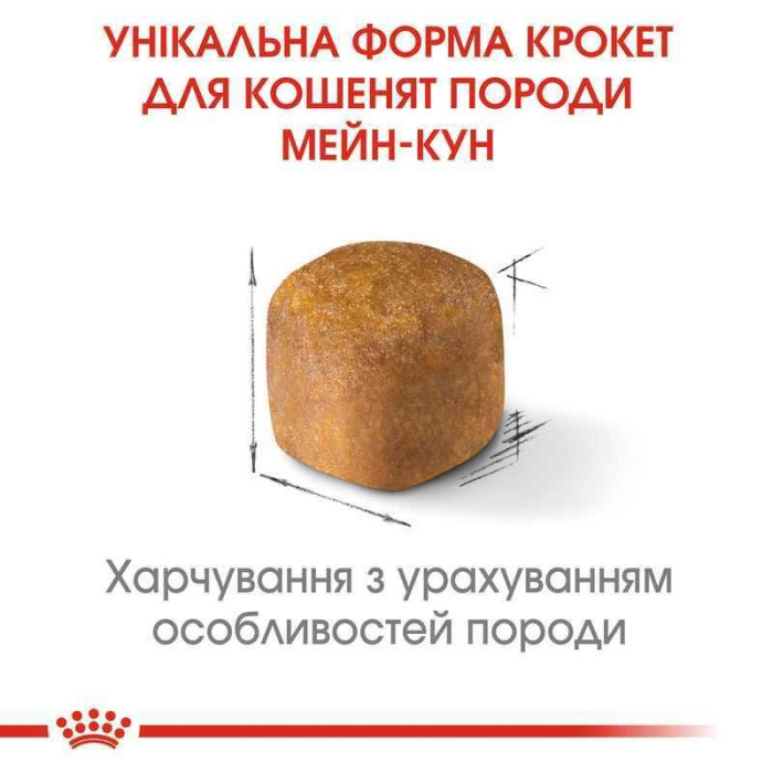 АКЦІЯ Royal Canin Maine Coon Kitten корм для кошенят мейн-кун 2 кг + 4 паучі