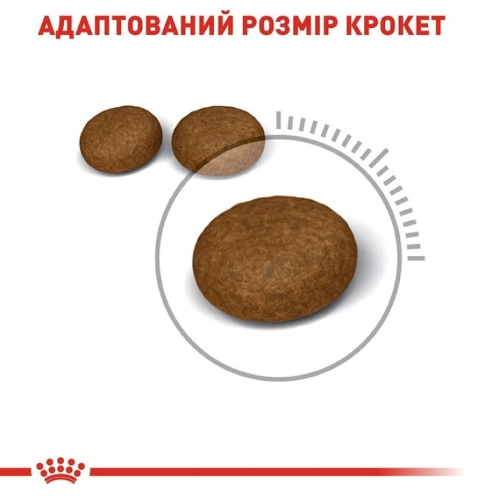 АКЦІЯ Royal Canin Hair Skin Care з проблемною вовною набір корму для котів 2 кг + 4 паучі