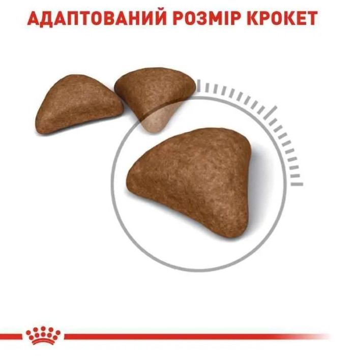 АКЦІЯ Royal Canin Urinary Care профілактика сечокамяної хвороби набір корму для котів 2 кг + 4 паучі
