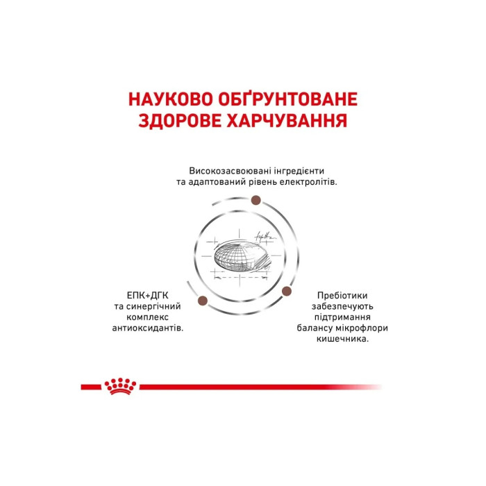 АКЦІЯ Royal Canin Gastrointestinal Moderate Calorie при порушеннях травлення 2 кг + 4 паучі