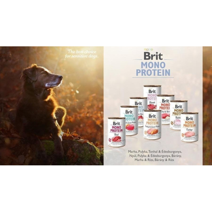 Brit Dog Monoprotein короп та картопляний салат вологий корм для собак 400 г