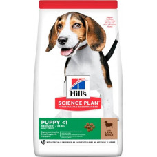 Hills SP Puppy Medium для цуценят середніх порід з ягням і рисом