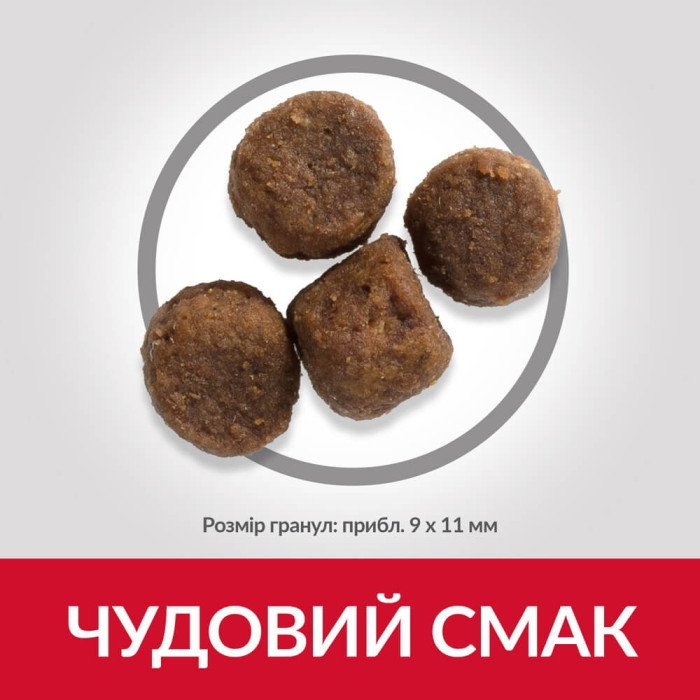 Hills SP Puppy Medium для цуценят середніх порід з ягням і рисом
