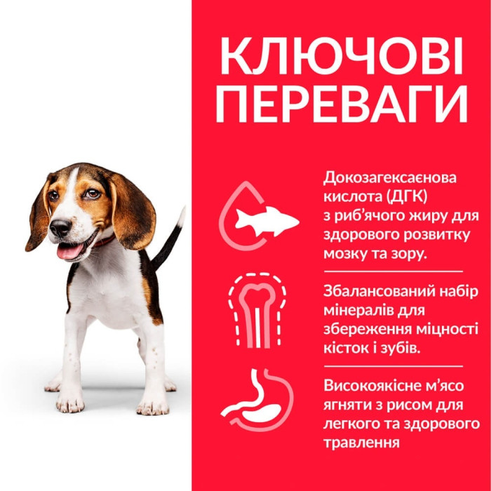 Hills SP Puppy Medium для цуценят середніх порід з ягням і рисом
