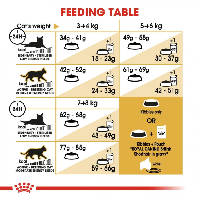 АКЦІЯ Royal Canin British Shorthair Adult Сухий корм для британських короткошерстих котів 8+2 кг