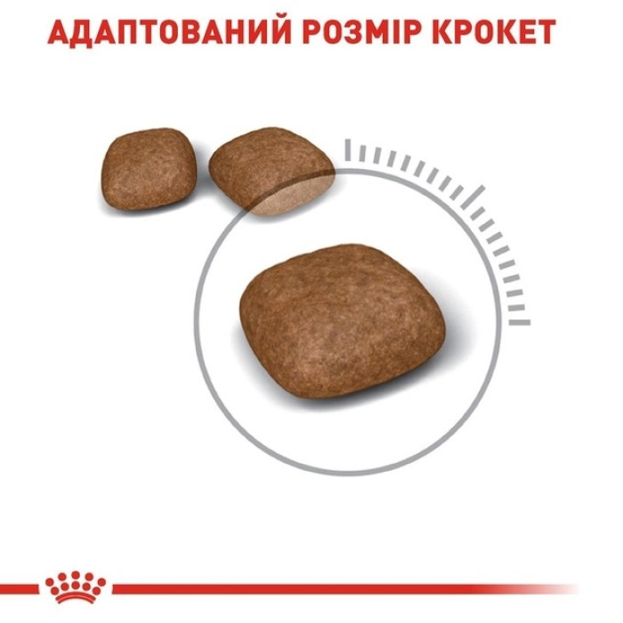 АКЦІЯ Royal Canin Urinary Care сухий корм для котів профілактика сечокамяної хвороби 8+2 кг