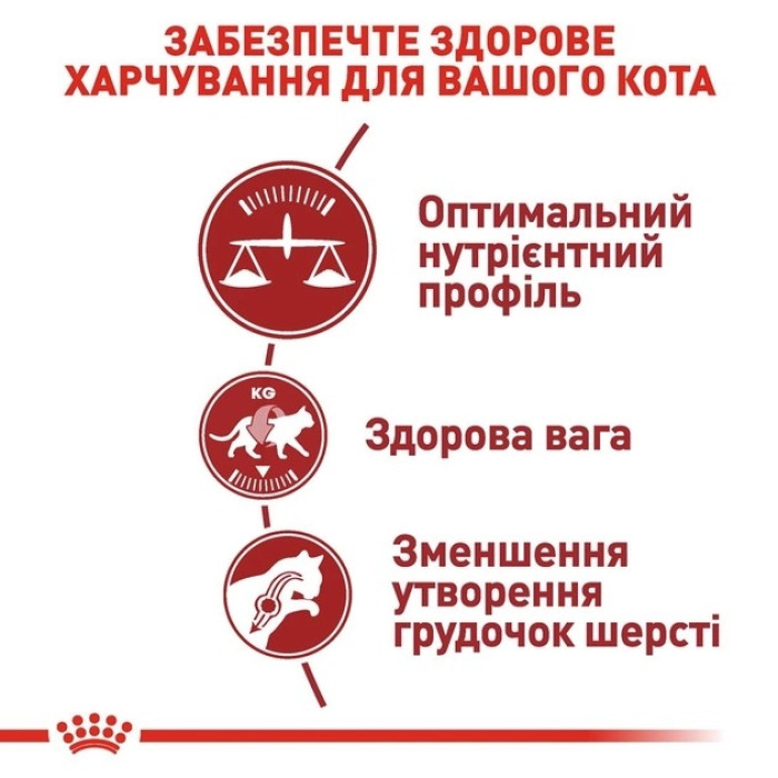 АКЦІЯ Royal Canin Fit сухий корм для домашніх та вуличних котів 8+2 кг