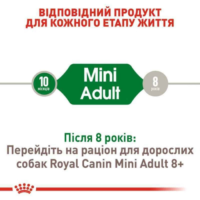 АКЦІЯ Royal Canin Mini Adult сухий корм для собак дрібних порід старше 10 місяців 7+1 кг