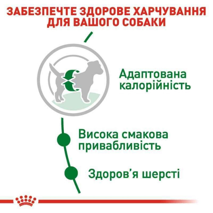 АКЦІЯ Royal Canin Mini Adult сухий корм для собак дрібних порід старше 10 місяців 7+1 кг