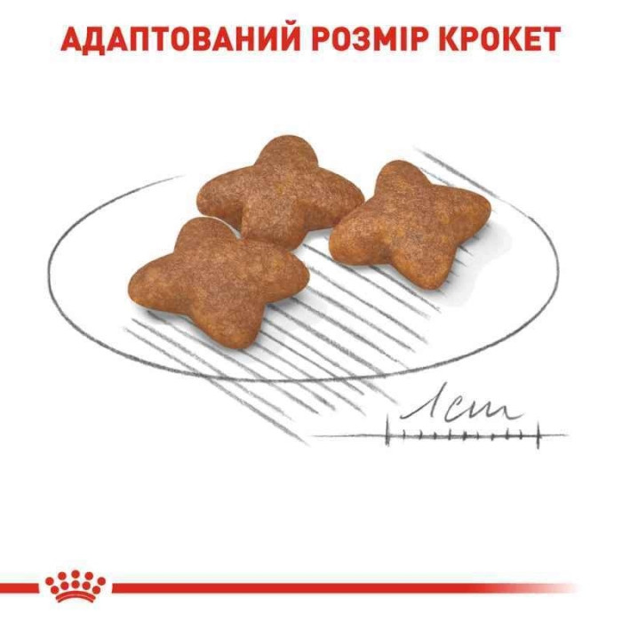 АКЦІЯ Royal Canin Mini Adult сухий корм для собак дрібних порід старше 10 місяців 7+1 кг