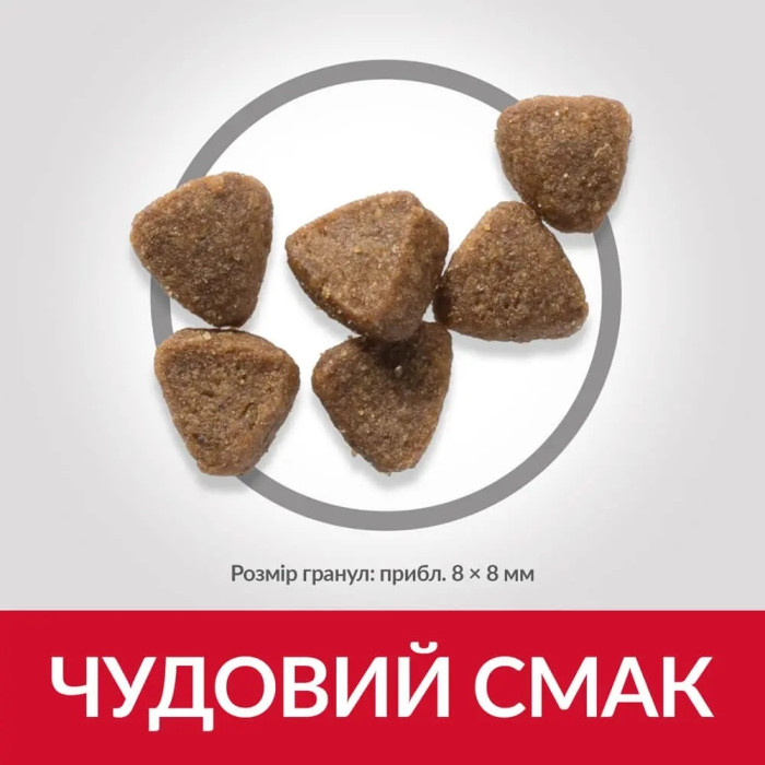 АКЦІЯ 1+2 Hills Science Plan Kitten сухий корм для кошенят та котів у період вагітності 300 г