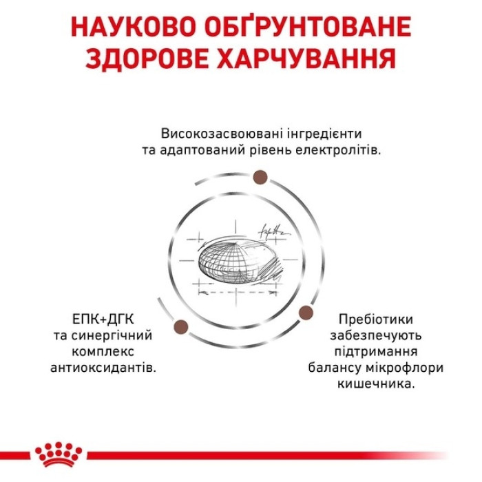 АКЦІЯ Royal Canin Gastro Intestinal сухий корм для собак при порушенні травлення 13+2 кг