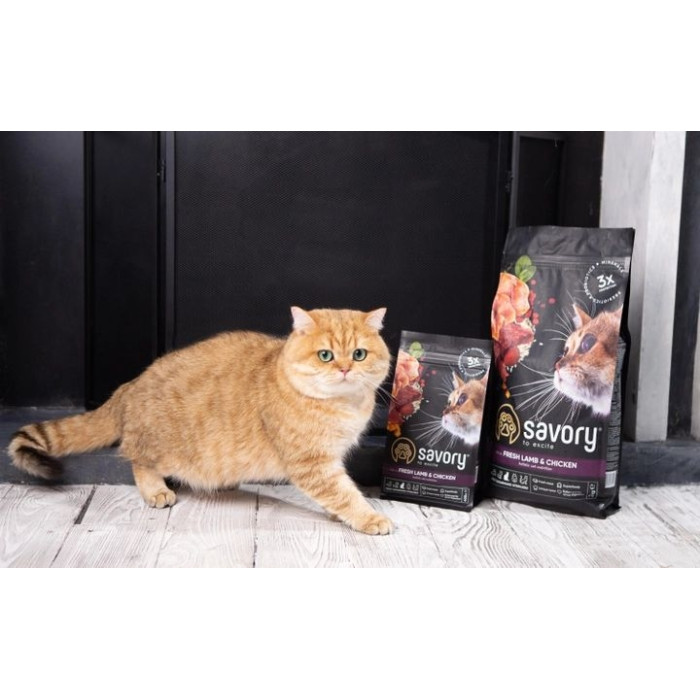 Savory Adult Cat Сухий корм для кастрованих котів зі свіжим мясом ягняти і куркою 8 кг