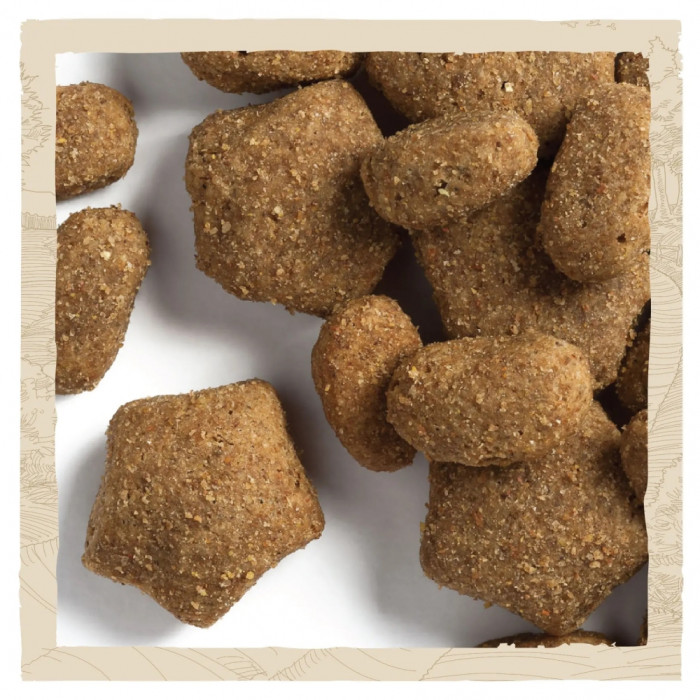 АКЦІЯ Dog Chow Active Adult 1+ сухий корм із куркою для активних собак 14 кг