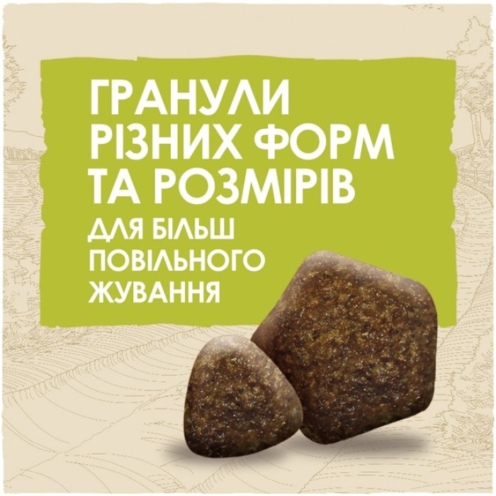 АКЦІЯ Purina DOG CHOW Adult сухий корм для дорослих собак з ягнятком 2.5 кг