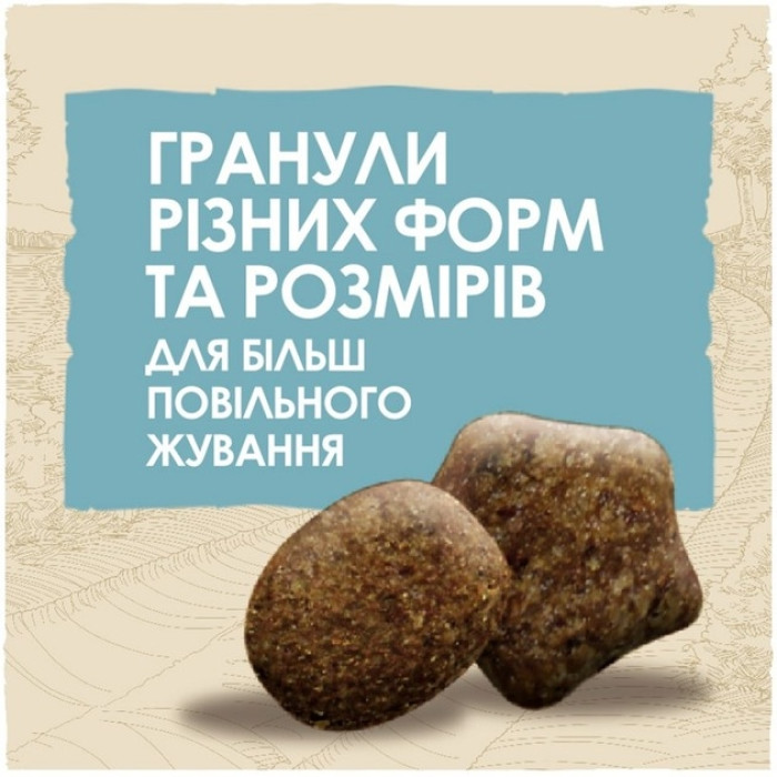 АКЦІЯ Purina DOG CHOW Puppy сухий корм для цуценят з ягнятком 14 кг